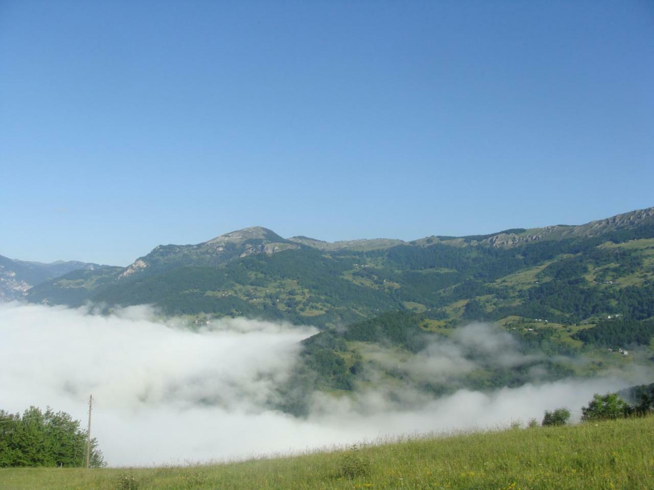 Taramour Cottages. Mojkovac Exterior photo